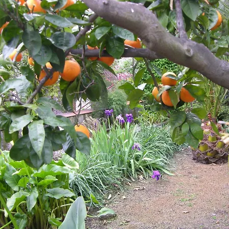 Il Giardino - *
