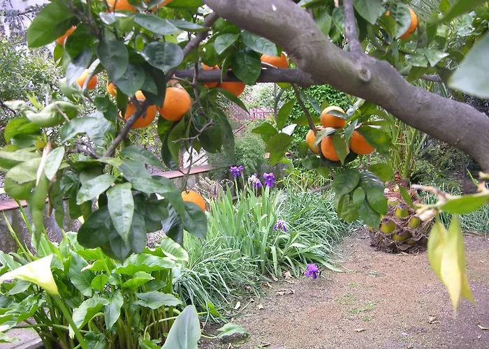 Il Giardino - *